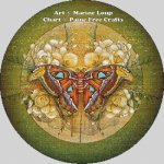 Atlas Moth (image for) Atlas Moth